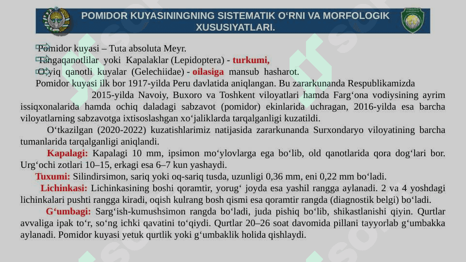 BITIRUV MALAKAVIY ISHI TAQDIMOTI. Pomidor kuyasi 8