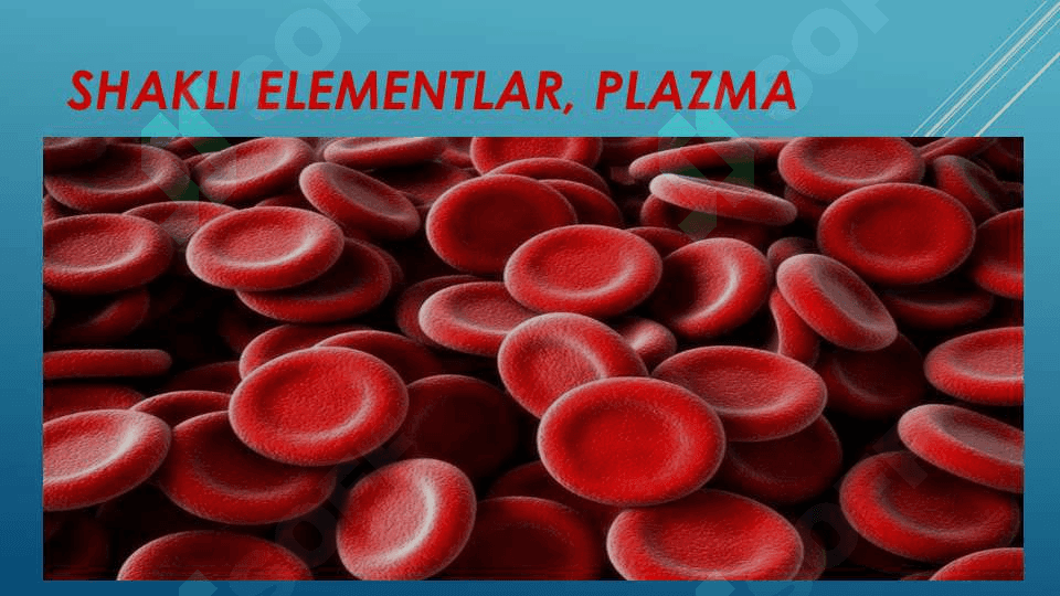 QON TIZIMINING YOSHGA OID FIZIOLOGIYASI VA GIGIYENASI 7