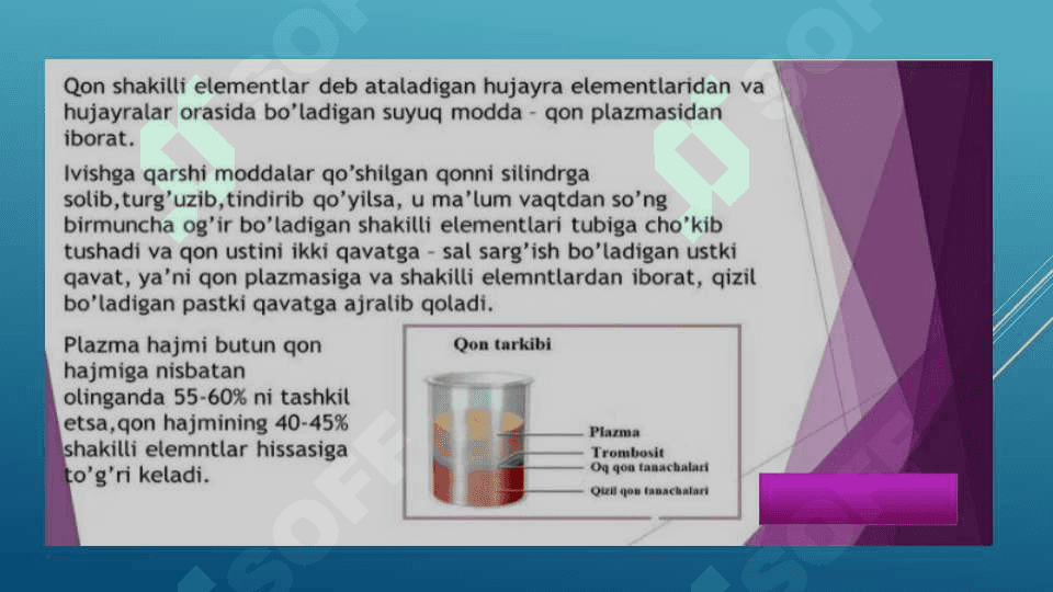 QON TIZIMINING YOSHGA OID FIZIOLOGIYASI VA GIGIYENASI 8