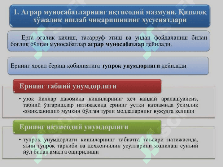 АГРАР МУНОСАБАТЛАР ВА АГРОБИЗНЕС  pptx 2