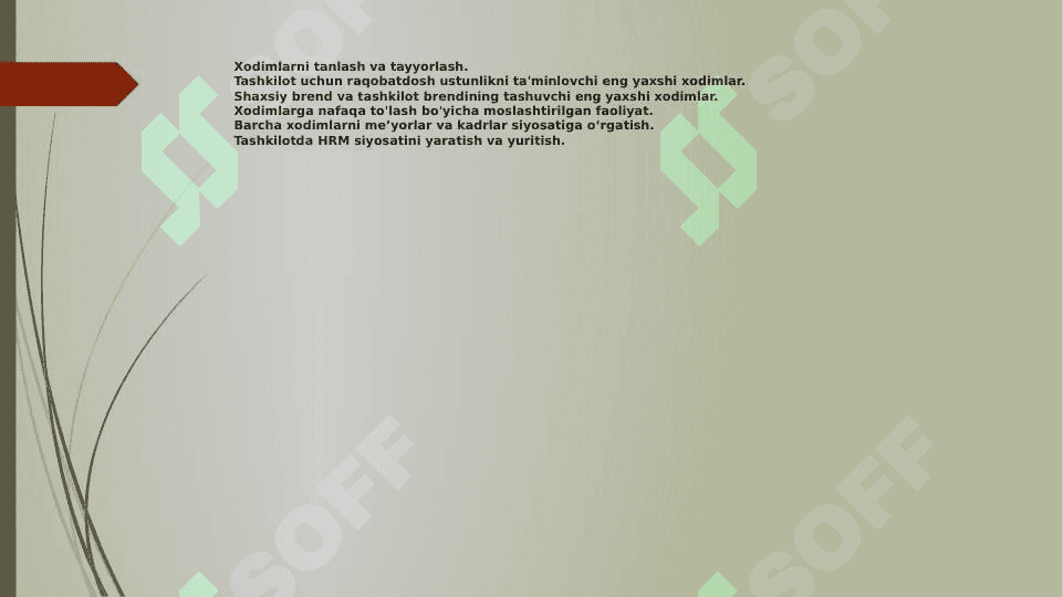 Inson resurslarini (HR) boshqarish asoslari va tashkiliy tuzilmasi. Inson resurslarini rejalashtirish 4