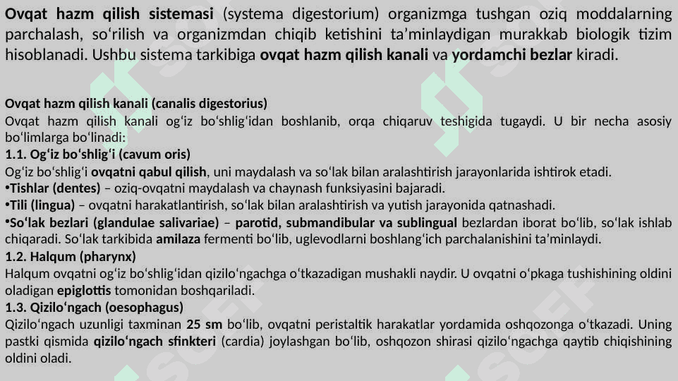Ovqat hazm qilish sistemasi 2