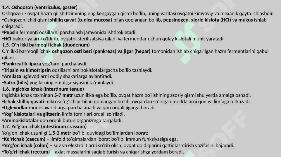 Ovqat hazm qilish sistemasi 3