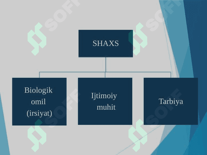 Shaxsning rivojlanishi, tarbiyasi va ijtimoiylashuvi. Yaxlit pedagogik jarayon. 4