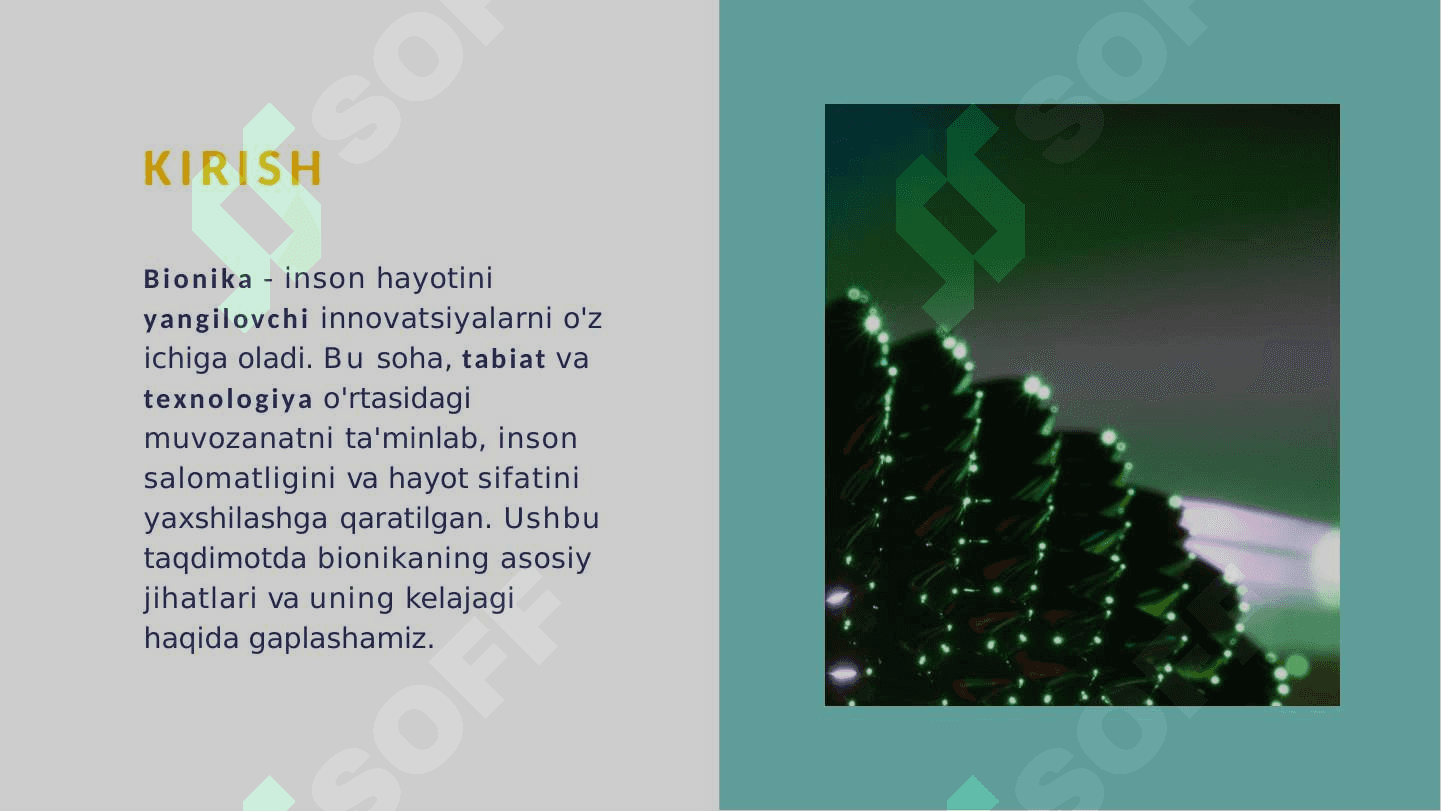 Bionika asoslari va uni inson hayotidagi o'rni 2 2
