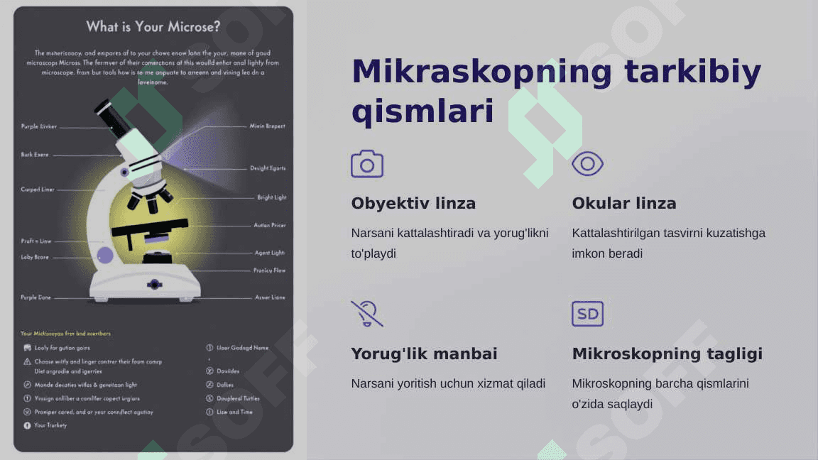 Mikraskopning tuzilishi va uning kattalashtirishi 3