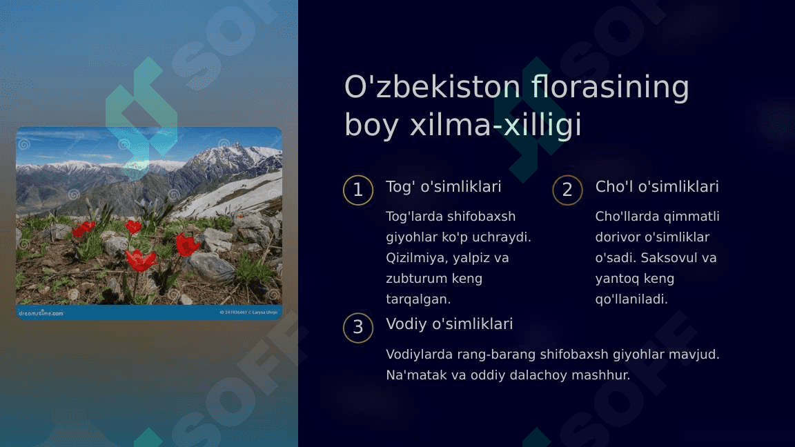 O‘zbekistonning dorivor o‘simliklari.Abu Ali ibn Sinoning buyuk merosi_1 4