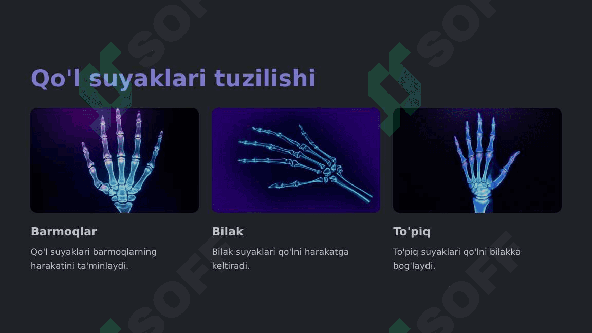 Qo'l Suyaklarining Variantli Anatomiyasi va Rivojlanish Nuqsonlari 3