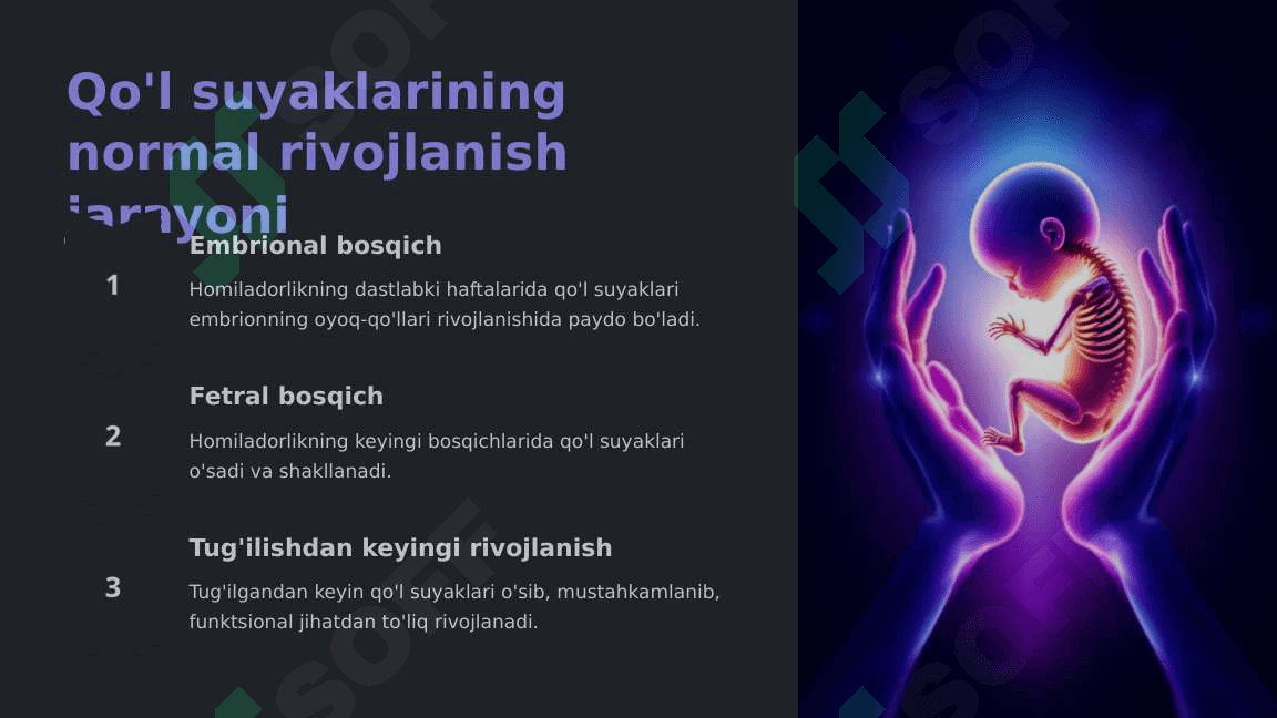 Qo'l Suyaklarining Variantli Anatomiyasi va Rivojlanish Nuqsonlari 4