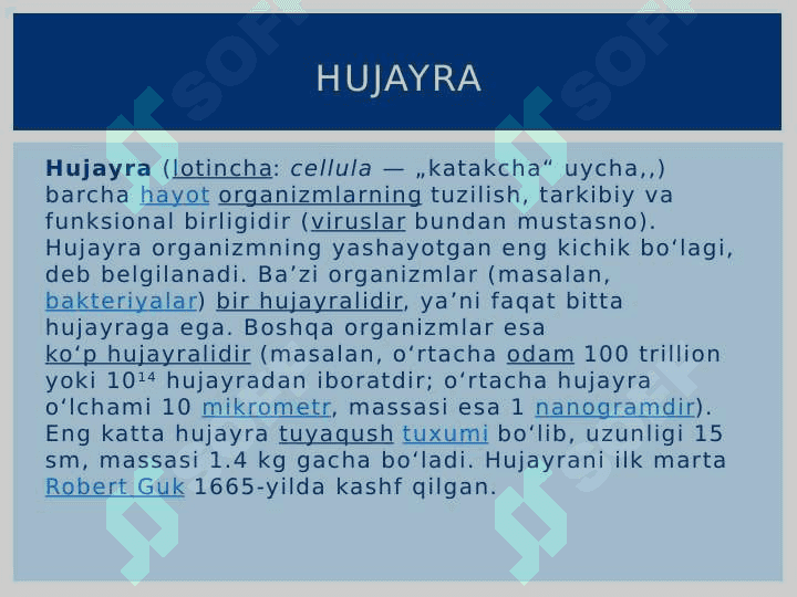 Mavzu: Hujayrada moddalar,energiya va maʼlumotlar oqimi. Hujayra proliferatsiya muammolarining tibbiyotdagi roli 2