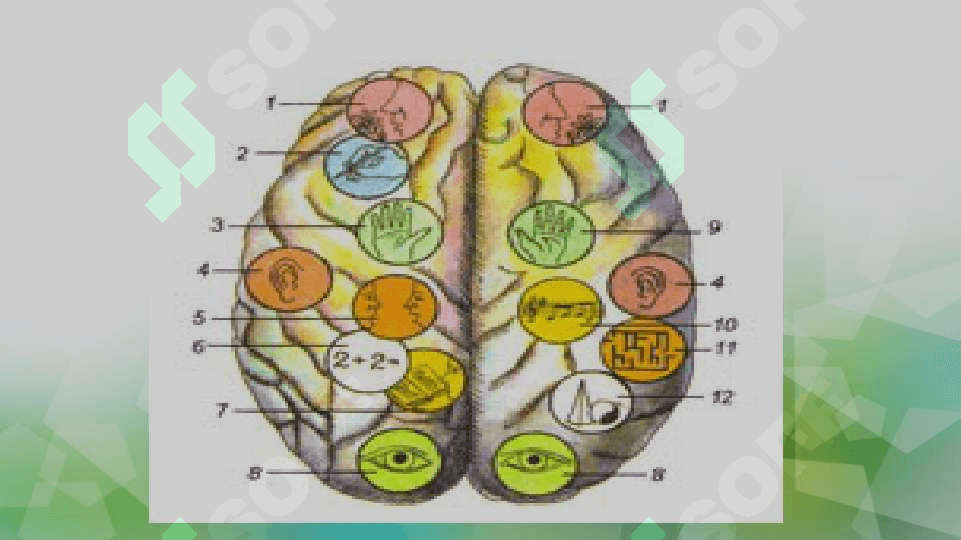 KOXLEAR IMPLANTLI BOLALAR 8