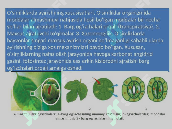 AYIRISH (EKSKRETSIYA) 4