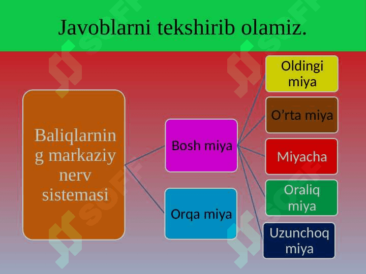 Baliqlarning ko‘payishi va rivojlanishi 4