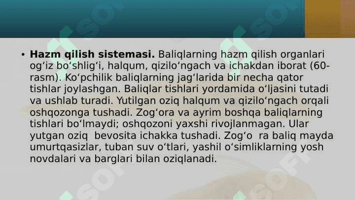 Baliqlarning ichki tuzilishi 4