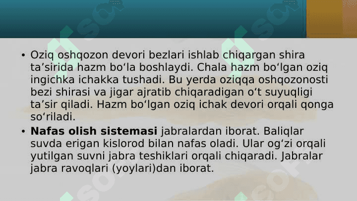 Baliqlarning ichki tuzilishi 8