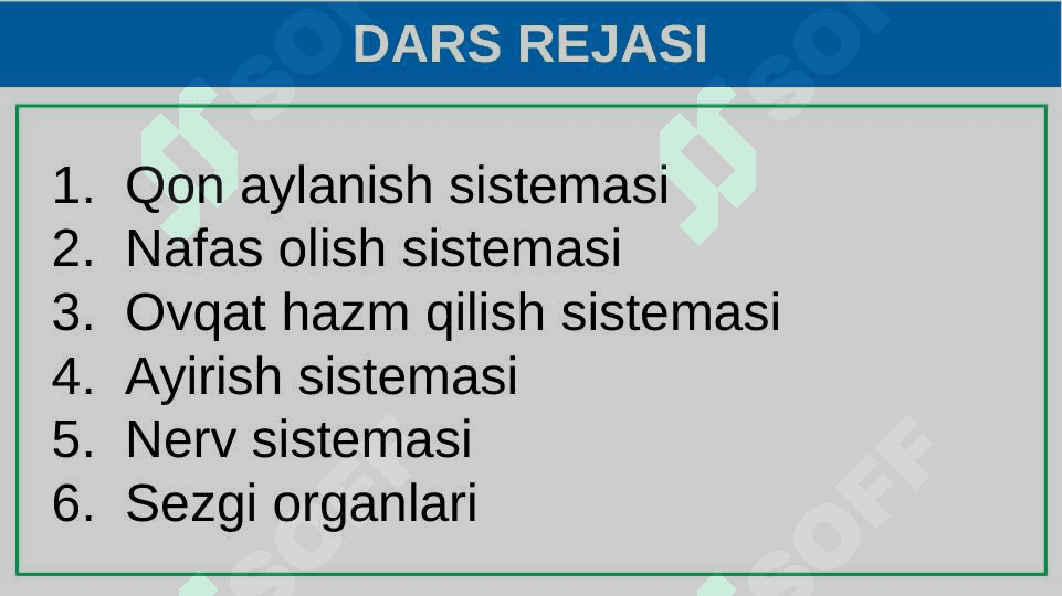 Itning ichki tuzilishi 2