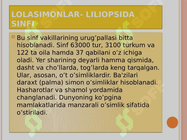 Bir urug’pallali o’simliklar – Liliopsida yoki  Monocotyledones sinfi 5