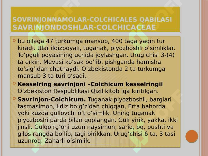 Bir urug’pallali o’simliklar – Liliopsida yoki  Monocotyledones sinfi 6