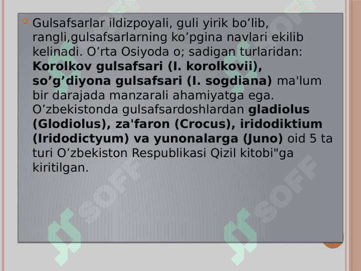 Bir urug’pallali o’simliklar – Liliopsida yoki  Monocotyledones sinfi 8