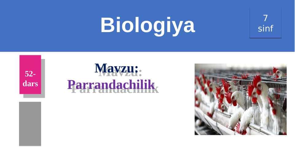 Parrandachilik