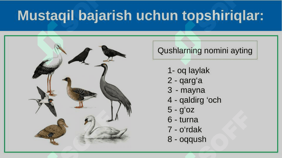 Parrandachilik. 3