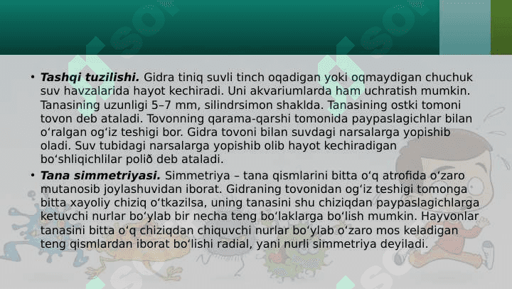 Gidroid poliplar sinfi: chuchuk suv gidrasi 4
