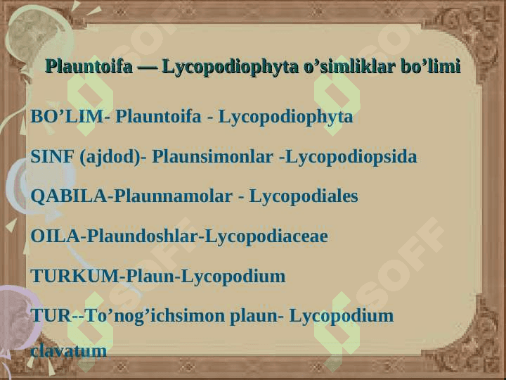 Plauntoifa — Lycopodiophyta o’simliklar bo’limi 8