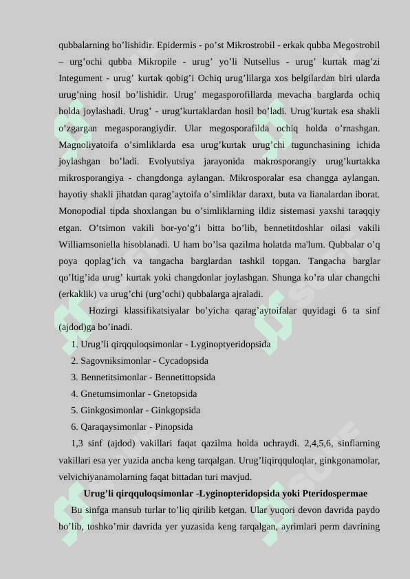 Qaraqaytoifa Pinophyta yoki Ochiq urug’li Gymnospermae o’simliklar bo’limi 3