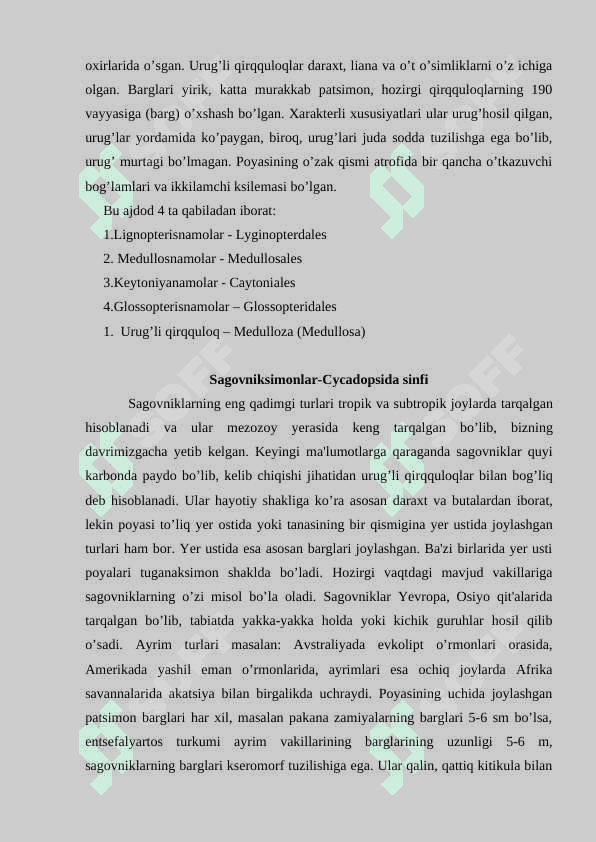 Qaraqaytoifa Pinophyta yoki Ochiq urug’li Gymnospermae o’simliklar bo’limi 4