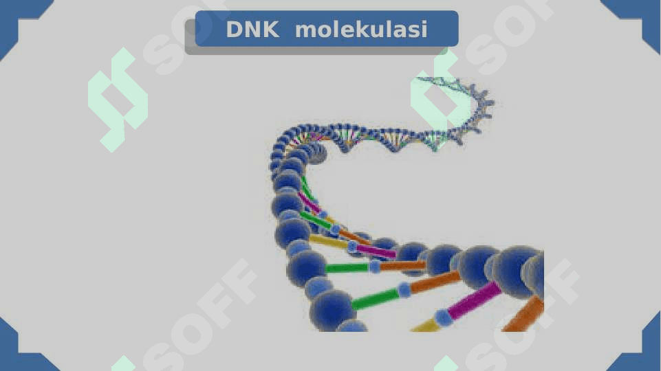 Nuklein kislotalar va oqsillar biosintezi 6