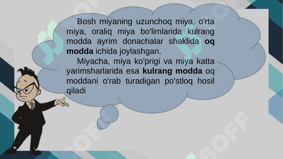 Bosh miyaning tuzilishi va funksiyasi 4