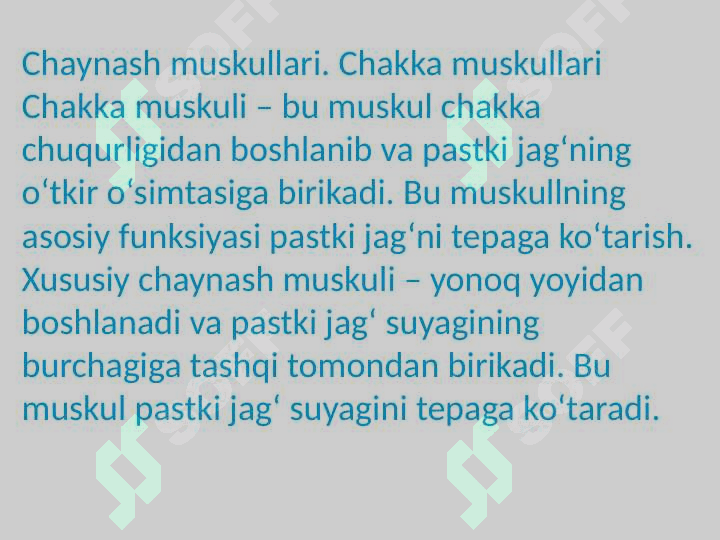 Bosh va boʻyin muskullari 4