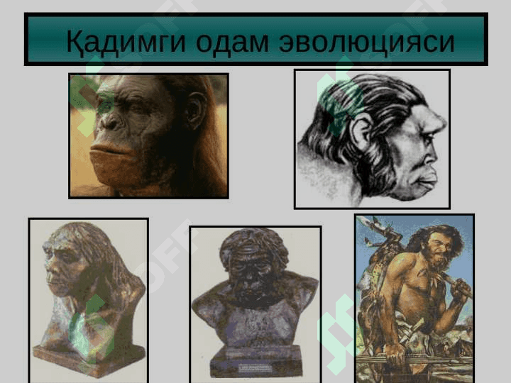 Ибтидоий жамоа  даври тарихи 8