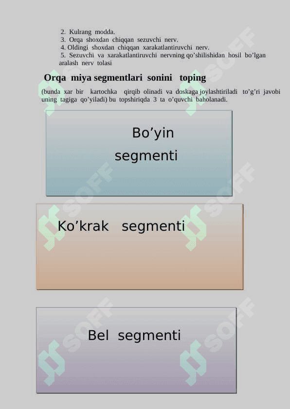 Bosh  miyaning  tuzilishi  va  funksiyasi 6