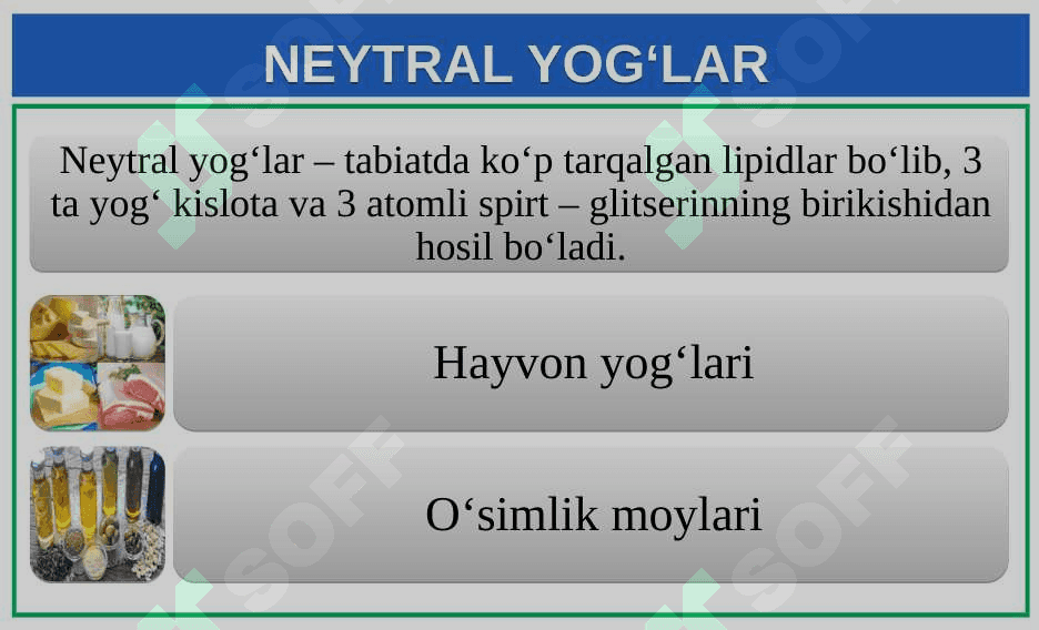 Lipidlar. Lipidlarning tuzilishi, funksiyalari 3
