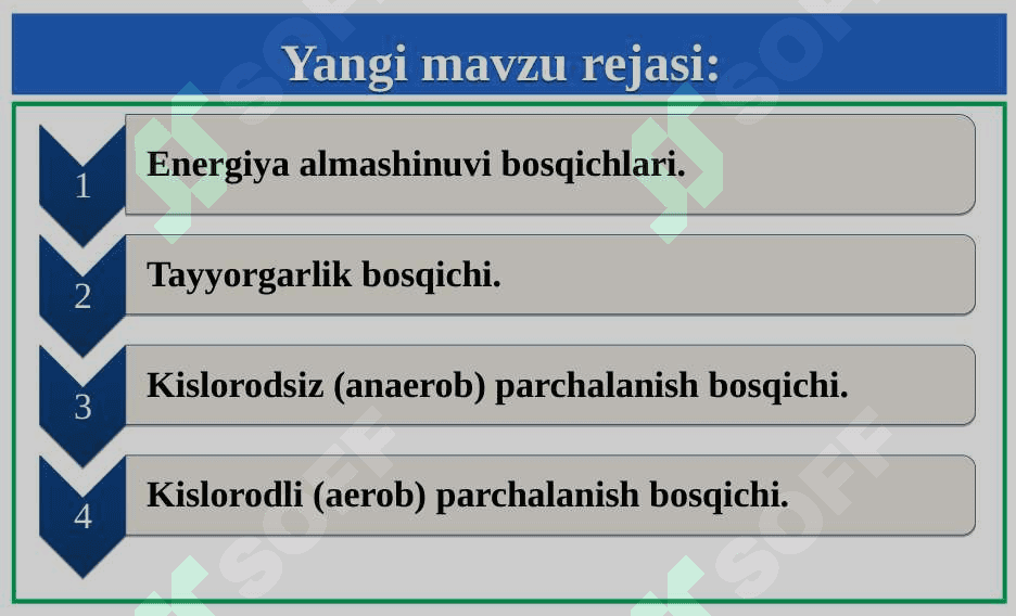 Energiya almashinuvi bosqichlari. ATF sintezi 3