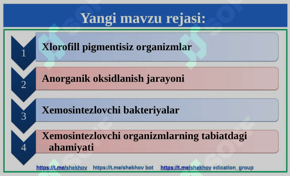 Xemosintez 9-10 sinf 6