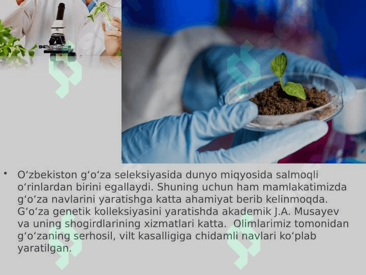 O‘zbekiston olimlarining O‘zbekiston olimlarining seleksiya sohasidagi erishgan yutuqlaribiologseleksiya sohasidagi erishgan yutuqlari 3