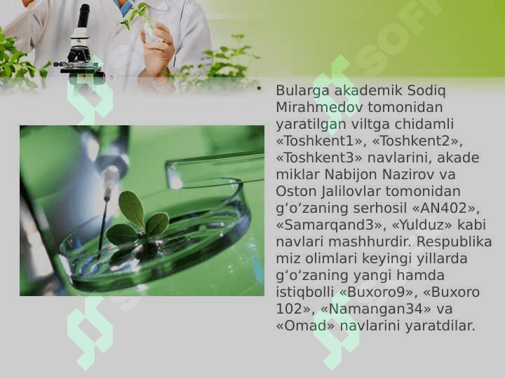 O‘zbekiston olimlarining O‘zbekiston olimlarining seleksiya sohasidagi erishgan yutuqlaribiologseleksiya sohasidagi erishgan yutuqlari 4