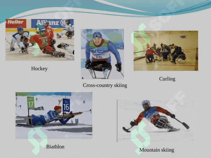 The winter Рaralympic Games in Sochi 8
