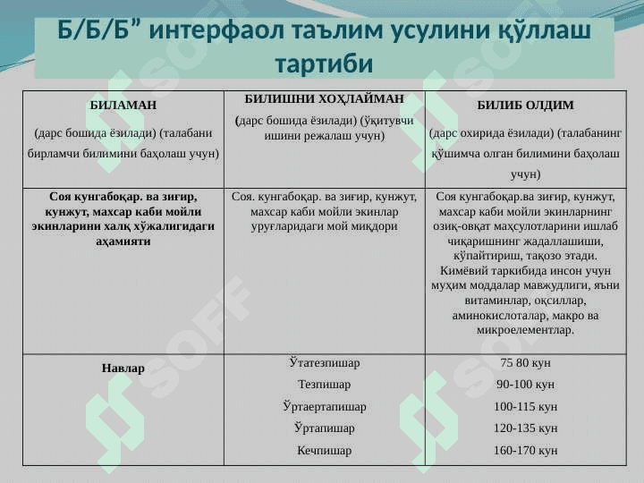 БИТИРУВ ЛОЙИҲА ИШИ  ТАҚДИМОТИ agrotexnalogiya 4
