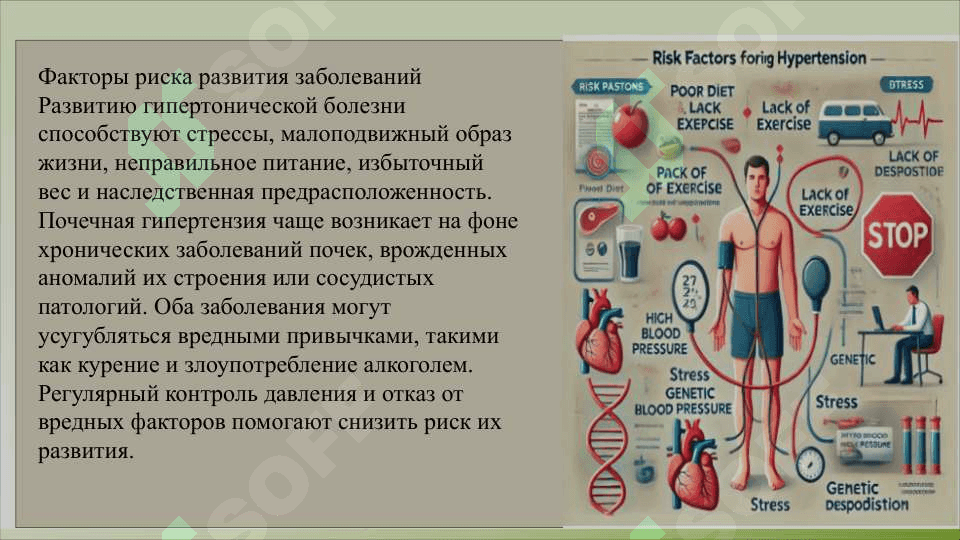 Гипертоническая болезнь и  почечная артериальная гипертензия, этиология, патогенез, классификация. 7