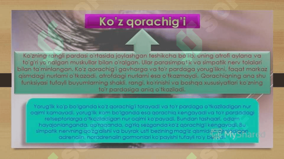 Ko‘rish organlarining funksiyasi 8