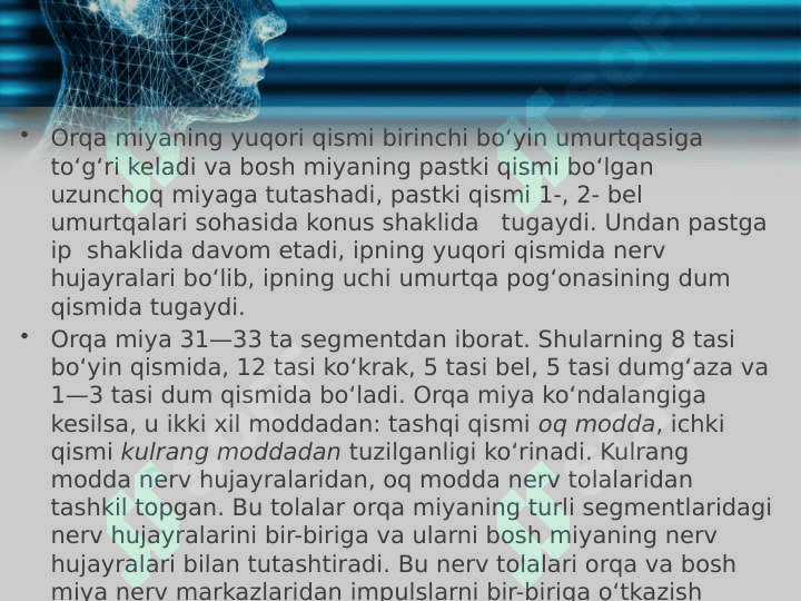 Nerv sistemasining ahamiyati va tuzilishi 8