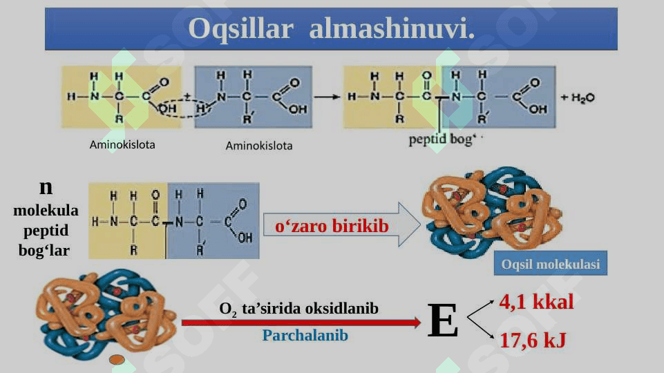 Oqsillar, yog‘lar va  karbonsuvlar almashinuvi 4