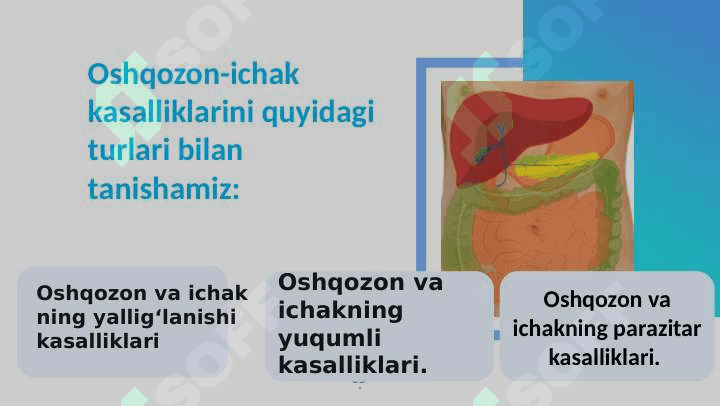 Oshqozon-ichak kasalliklari va ularning oldini olish 2