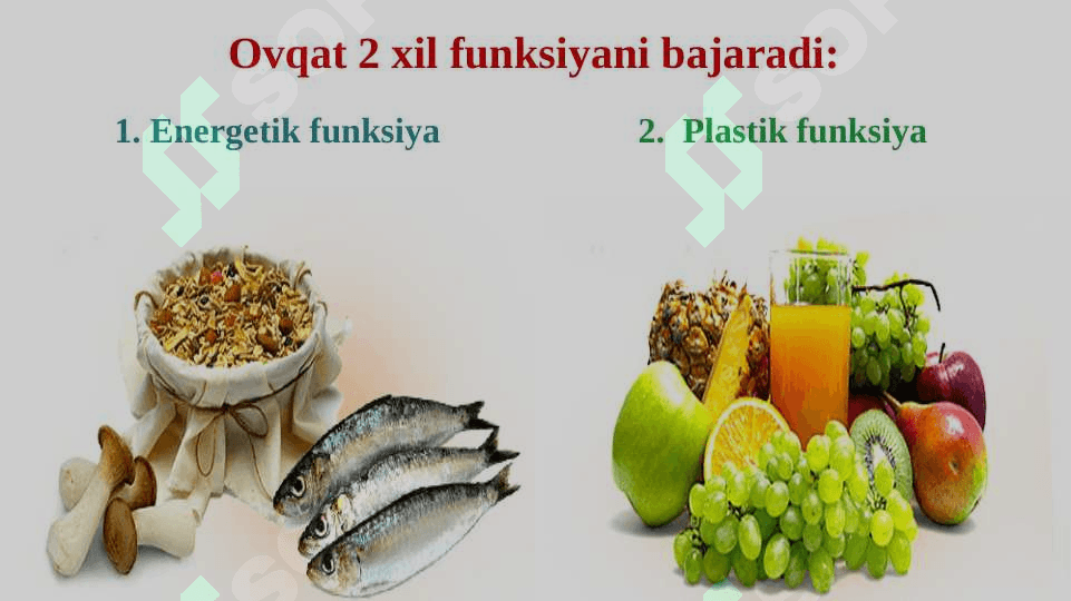 Energiya almashinuvi. Bir kecha kunduzgi ovqat ratsionini tuzish 2