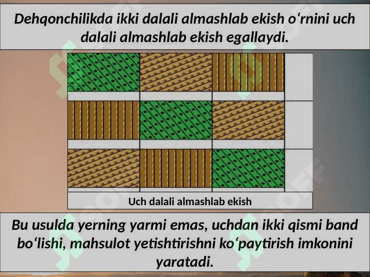 Yevropada o‘rta asr shaharlari 3