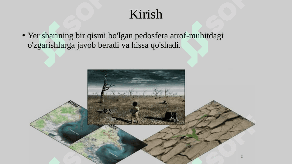 Tuproq-landshaft rivojlanish modeli 2