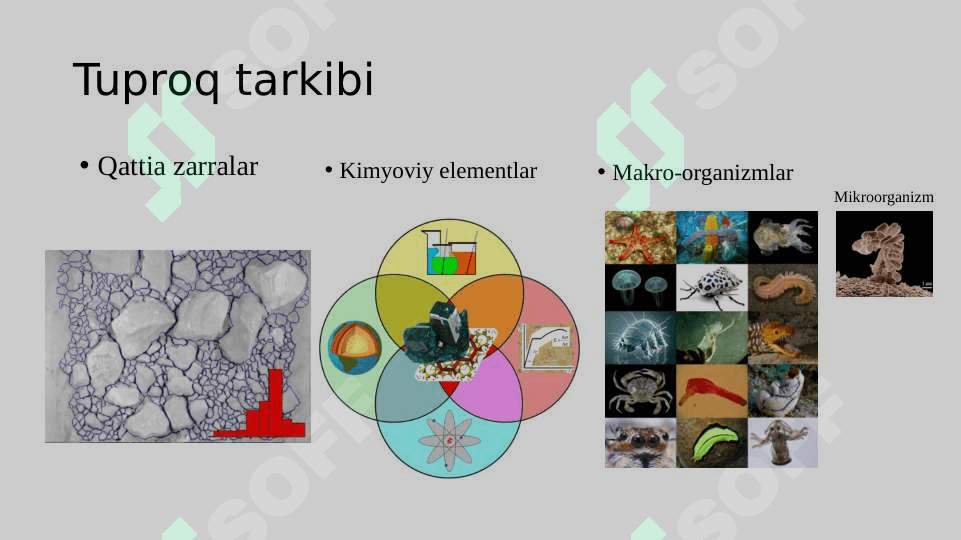 TUPROQ KARTOGRAFIYASI 8